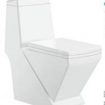 washdown one-piece toilet -